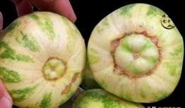 娱乐吃瓜怎么做,跟随吃瓜群众，探寻明星幕后故事